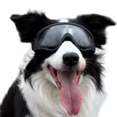 자외선차단 사이즈 조절 2중스트랩 강아지 눈보호 선글라스 고글(투명 레인보우), 1개, 클리어 렌즈 블랙