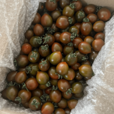 [할인행사] 산지직송 국내산 흑방울토마토 500g 1kg 2kg, 1개, 흑대추방울토마토 1kg