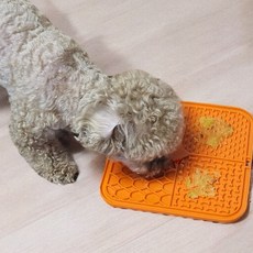 강아지 고양이 슬로우식기 리키매트buy8+2qhR