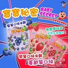 BABY SECRET 寶寶秘密 莓果派對 水果米餅 寶寶零食 25g, 1個, 寶寶的秘密莓果派對｜蔓越莓蘋果(1歲)