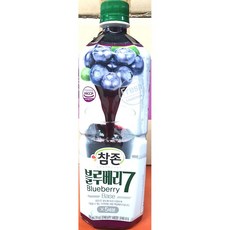 블루베리원액 (참존식품 835ml) 농축과일원액/카페재료/블루베리원액, 1개, 835ml