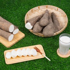 안동 장마&산마, 1개, 산마 특품 1kg