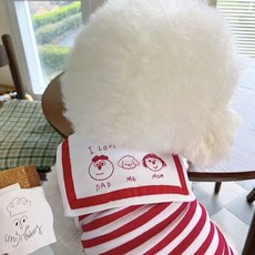 코어엑시스 강아지 고양이 해군카라 조끼 스트라이프 카툰 프린트 봄여름 펫의류, 1개, 레드