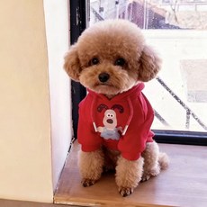 i豆寵物生活館 狗狗衣服小型犬中型犬連帽衛衣雪納瑞泰迪法鬥比熊柴犬加絨保暖冬, 連帽加絨衛衣【掌門狗公仔】,M 建議3.5-5.0公斤, 1個