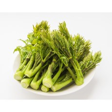 국내산 참두릅, 1개, 300g