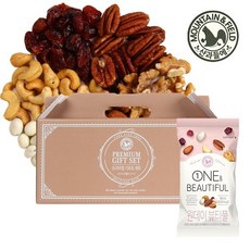 산과들에 하루견과 원데이뷰티풀 20입 선물세트 20gx20봉, 1