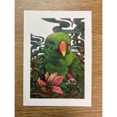 折衷鸚鵡明信片 鸚鵡小木屋寧子 精美卡片 祝福心意 收藏佳品, 1個