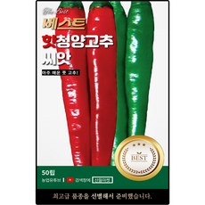 베스트 핫 청양 고추씨앗 50립 아주 매운 중생종 고추씨 종자, 1개