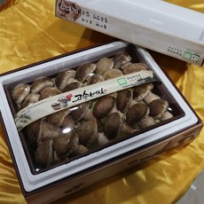 dbfresh 송화고버섯 1kg 생산자 당일수확 농장직송, 1개, 11.송화고 [최고급형] 1kg 고급선물포장