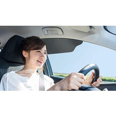 TuckVisor 블랙아웃 햇빛 가리개 2팩