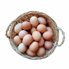 [연호농장] 무항생제 HACCP 인증 생계란 신선특란 30구, 40구, 1개