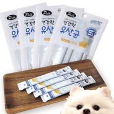 유산균 치즈 애견유산균 펫영양제 반려동물영양제