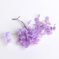 화연양화 프리저브드플라워 수국 1g 30색, 14 페일퍼플