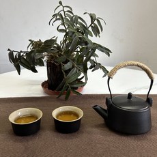 旅行茶具套装便携式一壶四杯露营陶瓷高档泡茶壶茶杯商务伴手礼品, 提梁壶一壶二杯, 如图, 1個