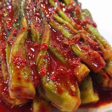 반찬연구소 갓김치 500g 끝판왕 부드럽게 톡쏘는 맛 간편반찬, 1개