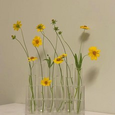 無品牌 試管花瓶, 齊高款 支架不可變換造型