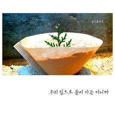 토양개량제&사료보조제 325메쉬 일라이트파우더, 1kg, 1개