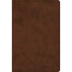 (영문도서) Study Bible-ESV-Personal Size Imitation Leather, Crossway, English, 9781433547621