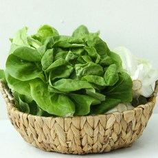 유럽상추 유러피안샐러드 친환경 채소 모듬 Kam, 1개, 1kg