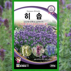과일무 씨앗 200립 [26년포장] 이색 과일무 종자