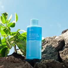 [용량UP] 식물나라 제주 탄산수 딥 립 앤 아이 리무버 300mL