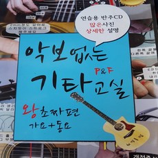 악보없는 기타교실/최경록.PF