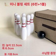 볼링 핀 세트 놀이 게임 행사 학교 회사 다용도, 6개 볼병 1개 볼 수납상자포함, 1개