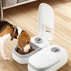 YBGGJO 350ml 48 & 자동 먹이기 바닥 빙낭 배치 시간 타이머 설정 타이밍 애완