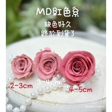 進口永生玫瑰 莫蘭迪色系 大地農園品質 永生花 MUMU花禮 花藝創作, 莫迪紅,3-4cm