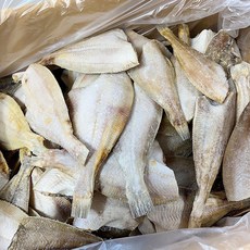 산지직송 동해안 국산 반건조 참가자미, 1개, 참가자미 파품 1kg(20미 내외)