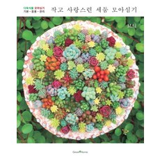 小巧可愛的景天屬合植：, 綠色家園