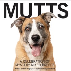 (영문도서) Mutts: A Celebration of Mystery Mix Breeds: A Celebration of Mystery Mixed Breeds Hardcover, Susan Schadt Press LLC, English, 9781733634175