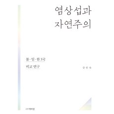 PagijongPress 廉想涉與自然主義：法 日 韓三國比較研究, 姜仁淑