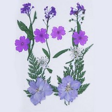 압화117 드라이플라워 인테리어장식 인테리어용드라이플라워 촬영소품