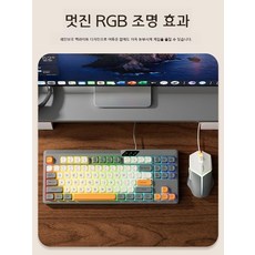 유선 기계식키보드 마우스세트 노트북 가정용 사무용, Sea Salt 키보드-유선-RGB