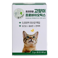 응가아저씨 프리미엄 고양이 프로바이오틱스 장건강 면역력 유산균 & 오메가3 프로폴리스 타우린, 30회분, 장건강/유산균, 4박스