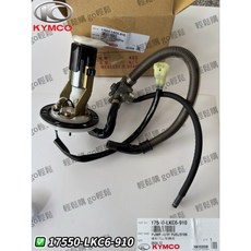 光陽 原廠 VJR 110 噴射汽油幫浦 全組 17550-LKC6-910, 1個