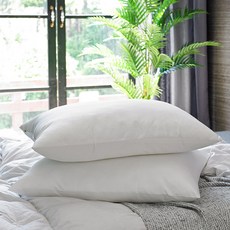 LEREVE 피톤치드 구름 지퍼형 베개솜, 2개