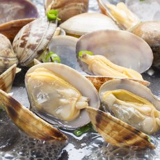 활 참바지락 2kg 당일조업, 1개