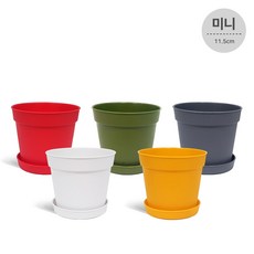 담따 비비드 플라스틱화분 받침세트 마이플랜트, 그린, 1개