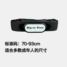 Polar H0 폴라 모니터 체크 스트랩, D. 흰색 머신 헤드표준 테이프