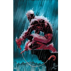 (영문도서) Daredevil Vol. 1 Paperback, Marvel Universe, English, 9781302947729