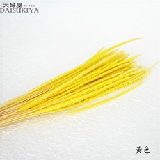 大好屋 麒麟草 乾燥花材 居家裝飾 捧花配花, 麒麟草【黃色】大束