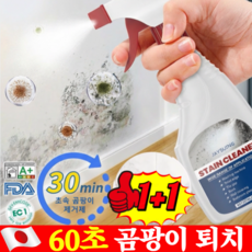 1+1벽면 얼룩 제거 곰팡이 제거 초속 곰팡이 제거제 벽지 곰팡이제거제 욕실 곰팡이제거제 초강력 곰팡이제거제, 237ml*2병