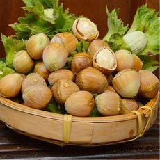 OKYAIOS 중국 길림성 개암 열매 생헤이즐넛, 1개, 3kg