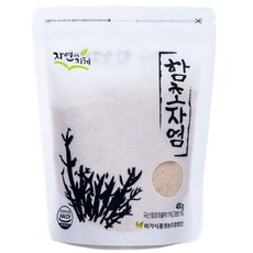 자연의지혜 함초자염, 400g, 1개