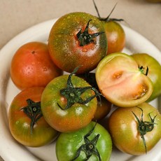 국내산 대저토마토 2.5kg 중과(M), 없음, 없음, 상세설명 참조