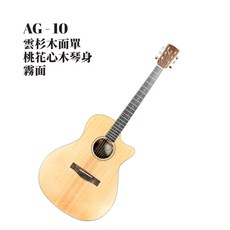 Anisa AG - 10 面單吉他, 1個