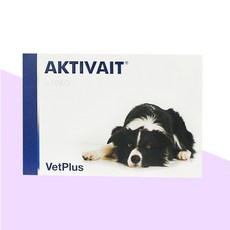 [벳플러스] 액티베이트 미디움앤라지 중대형견 60캡슐, 1개, 뇌/인지, 60회분