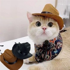 반려동물 카우보이 모자 애완견용품, 브라운, 1